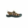 Keen Men's NeWPort Sandals