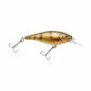 Berkley Fishing Flicker Shad Shallow | 1/6 Oz | 2in | 5cm | 8 | 2'-4' | 0.5m-1.2m | Model #FFSH5S-HDYLP