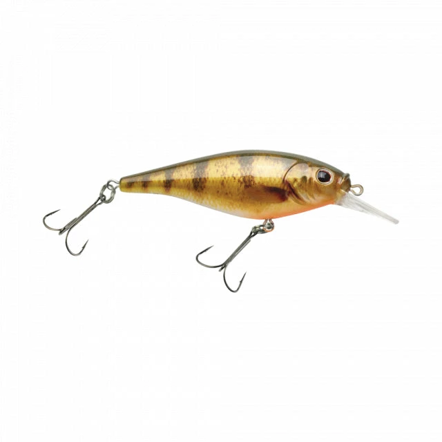 Best reviews of 😉 Berkley Fishing Flicker Shad Shallow | 1/6 Oz | 2in | 5cm | 8 | 2'-4' | 0.5m-1.2m | Model #FFSH5S-HDYLP 😉 3 Berkley Fishing Flicker Shad Shallow | 1/6 Oz | 2in | 5cm | 8 | 2'-4' | 0.5m-1.2m | Model #FFSH5S-HDYLP