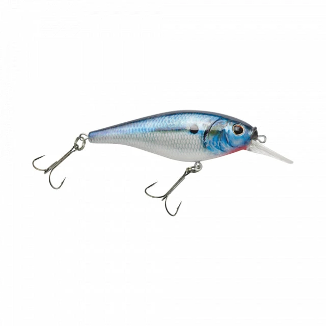Top 10 ๐ Berkley Flicker Shad Shallow | 1/6 Oz | 2in | 5cm | 8 | 2'-4' | 0.5m-1.2m | Model #FFSH5S-HDTFS ๐ฏ 3 Berkley Flicker Shad Shallow | 1/6 Oz | 2in | 5cm | 8 | 2'-4' | 0.5m-1.2m | Model #FFSH5S-HDTFS