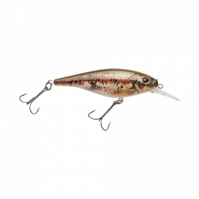 New 👏 Berkley Flicker Shad Shallow | 2/7 Oz | 2 3/4in | 7cm | 6 | 3'-6' | 1m-2m | Model #FFSH7S-HDBND Fishing 😉 3 Berkley Flicker Shad Shallow | 2/7 Oz | 2 3/4in | 7cm | 6 | 3'-6' | 1m-2m | Model #FFSH7S-HDBND Fishing
