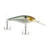 Top 10 🔔 Berkley Flicker Shad | 3/16 Oz | 2in | 5cm | 8 | 9'-11' | 2.7m-3.4m | Model #FFSH5M-BLUSM Fishing 🥰 1 Berkley Flicker Shad | 3/16 Oz | 2in | 5cm | 8 | 9'-11' | 2.7m-3.4m | Model #FFSH5M-BLUSM Fishing