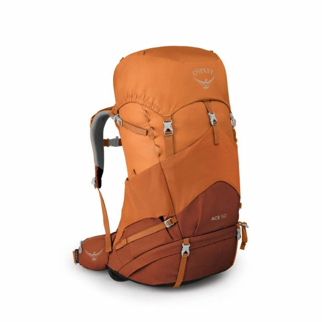 Deals ๐ Osprey Packs Ace 50 Day Packs ๐ 4 Osprey Packs Ace 50 Day Packs