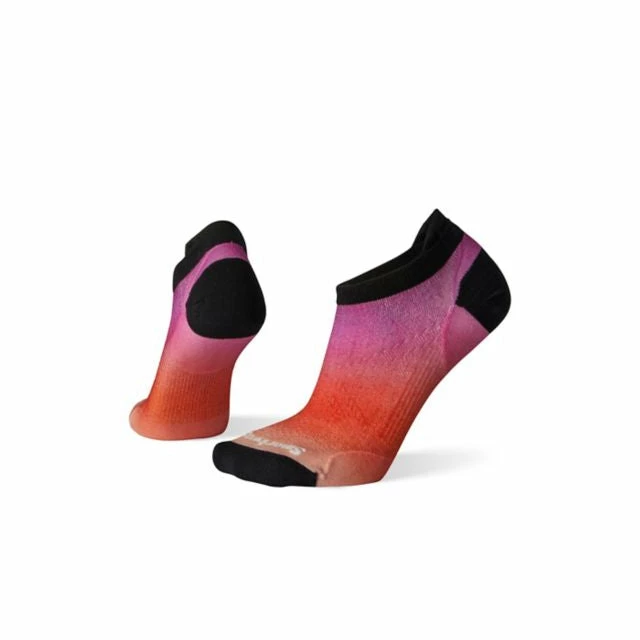 Best reviews of 🛒 Smartwool 👩 Women's PhD Run Ultra Light Ombre Print Micro 🧦 Socks ✨ 3 Smartwool Women's PhD Run Ultra Light Ombre Print Micro Socks
